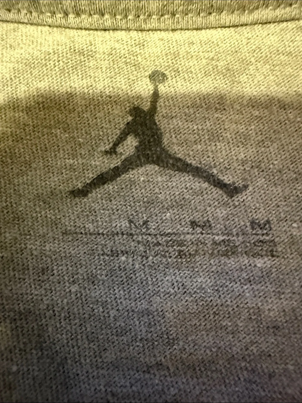 JORDAN Men's Gray Graphic Tree Short Sleeve Tee stitch, shoes on shirt